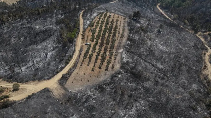 Çanakkale'de şaşırtan görüntü: Sadece o alan yanmadı Çanakkale'de şaşırtan görüntü: Sadece o alan yanmadı