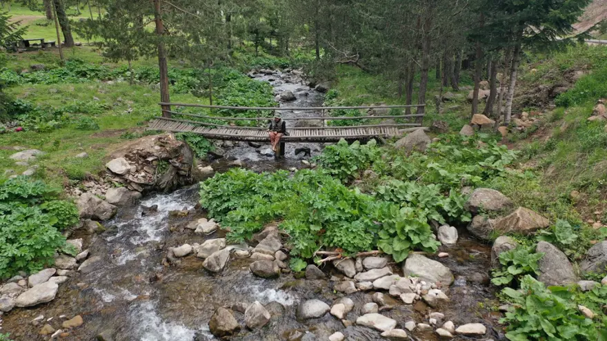 "DOĞAL HAYATI BURADA KEŞFETME ŞANSINA SAHİPSİNİZ" 3