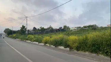 İstanbul'da attan düşen kadın öldü