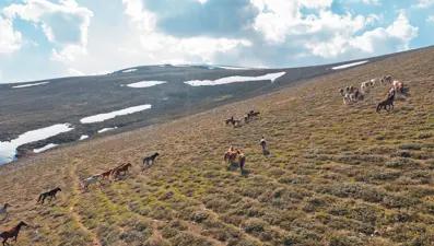 Emir Dağları'nda havadan görüntülenen yılkı atları büyüledi