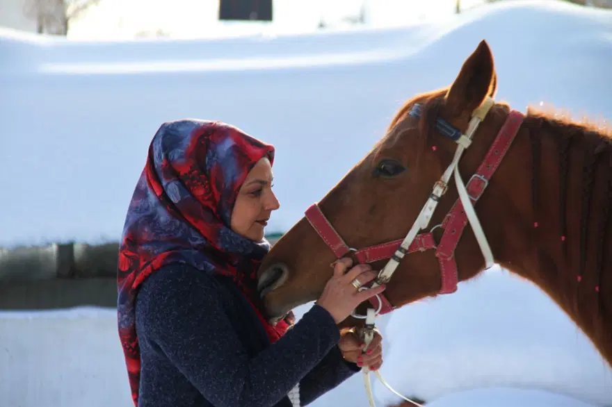 'Yapamazsın' diyenlere inat Elazığ'ın tek kadın seyisi oldu 10 'Yapamazsın' diyenlere inat Elazığ'ın tek kadın seyisi oldu 10