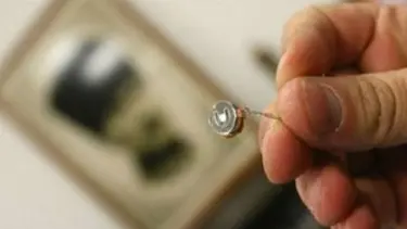 Danıştay'da böceği koyan hakim çıktı