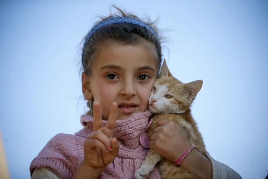 Savaştan minik kedisiyle kaçtı 5