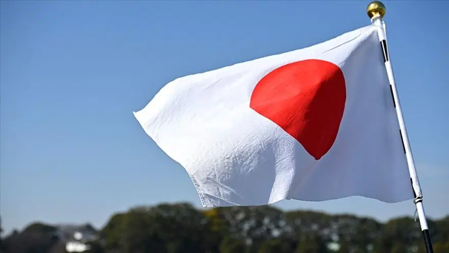 8- JAPONYA 30