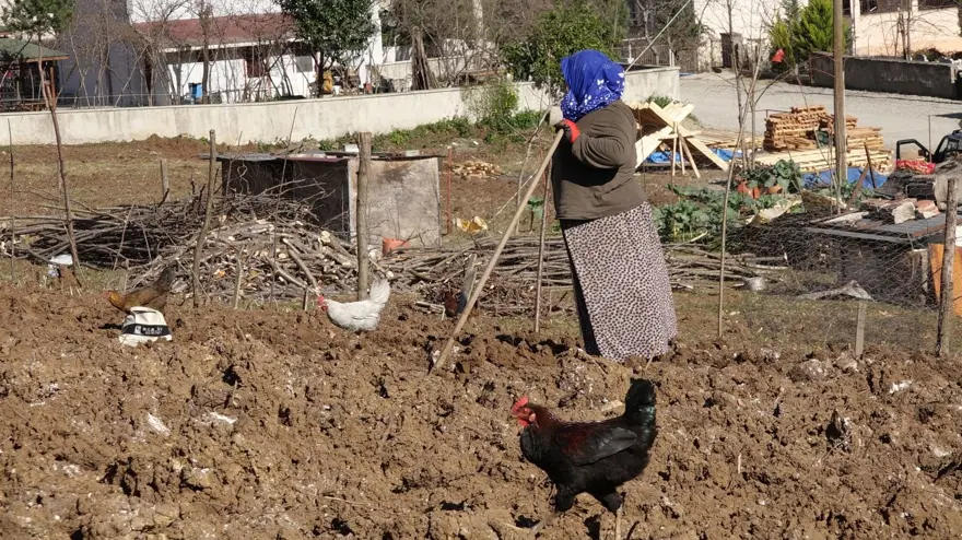İtalya'dan İstanbul'a oradan Trabzon'a: 'Drakula' tehlikesi ile mücadele sürüyor 9 İtalya'dan İstanbul'a oradan Trabzon'a: 'Drakula' tehlikesi ile mücadele sürüyor 9