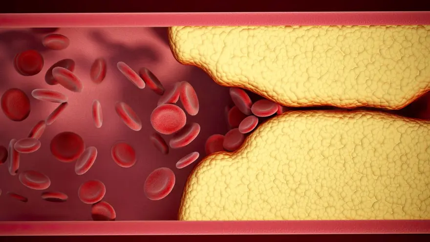 4- FİZİKSEL OLARAK AKTİF KALIN 5 4- FİZİKSEL OLARAK AKTİF KALIN 5