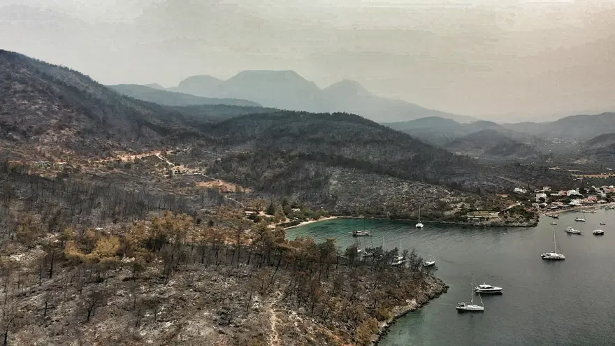 Bodrum ve Milas'ta yanan alanlar havadan görüntülendi 15 Bodrum ve Milas'ta yanan alanlar havadan görüntülendi 15