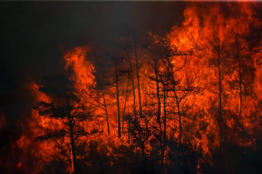 Marmaris'te orman yangını: Alevlerle mücadelede 2. gün 42 Marmaris'te orman yangını: Alevlerle mücadelede 2. gün 42