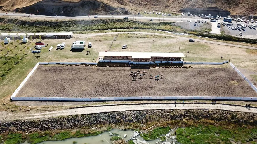 Malazgirt Zaferi'nin 949. yıl dönümü etkinlikleri devam ediyor 6 Malazgirt Zaferi'nin 949. yıl dönümü etkinlikleri devam ediyor 6