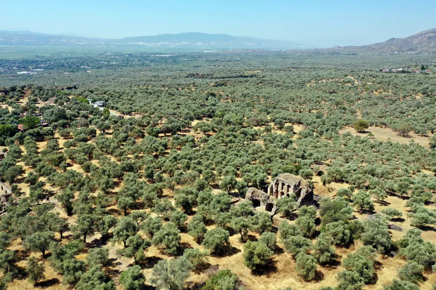 Aydın'daki Nysa Antik Kenti'nde yaklaşık bin yıllık 47 mezar bulundu 12