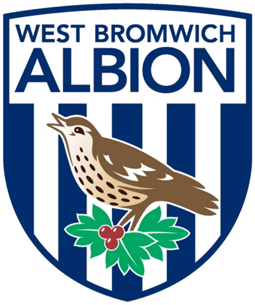 47. West Bromwich Albion 3