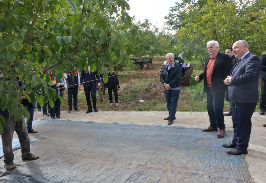 13 bin 225 hektar alanda yetişti: İlk hasat start aldı 4 13 bin 225 hektar alanda yetişti: İlk hasat start aldı 4