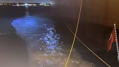 Küçükçekmece'de tankerden sızan madde endişe yarattı