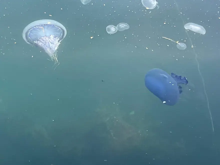 "YİNE YENİDEN BAŞLADI" 3