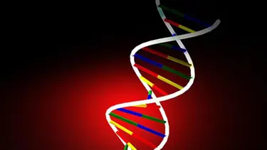 CRISPR ile DNA'dan sonra RNA düzenlenebilecek