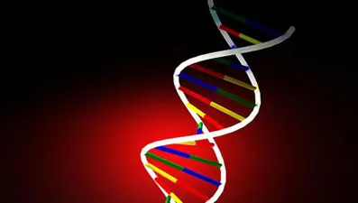 CRISPR ile DNA'dan sonra RNA düzenlenebilecek