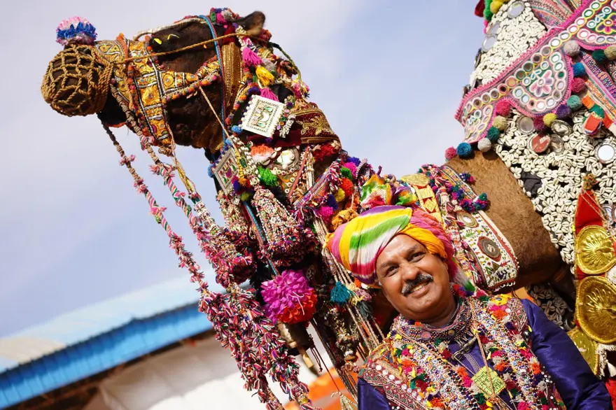 Hindistan'da geleneksel Pushkar Deve Festivali gerçekleştirildi 8 Hindistan'da geleneksel Pushkar Deve Festivali gerçekleştirildi 8