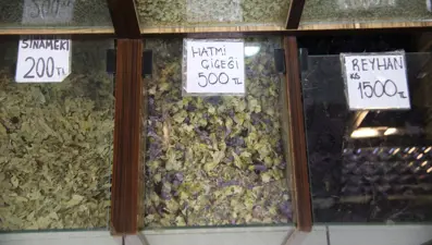 Öksürüğü, boğaz ağrısı, burun akıntısı geçmeyen soluğu orada alıyor: Soğuk havalarda yoğunluk yaşıyorlar