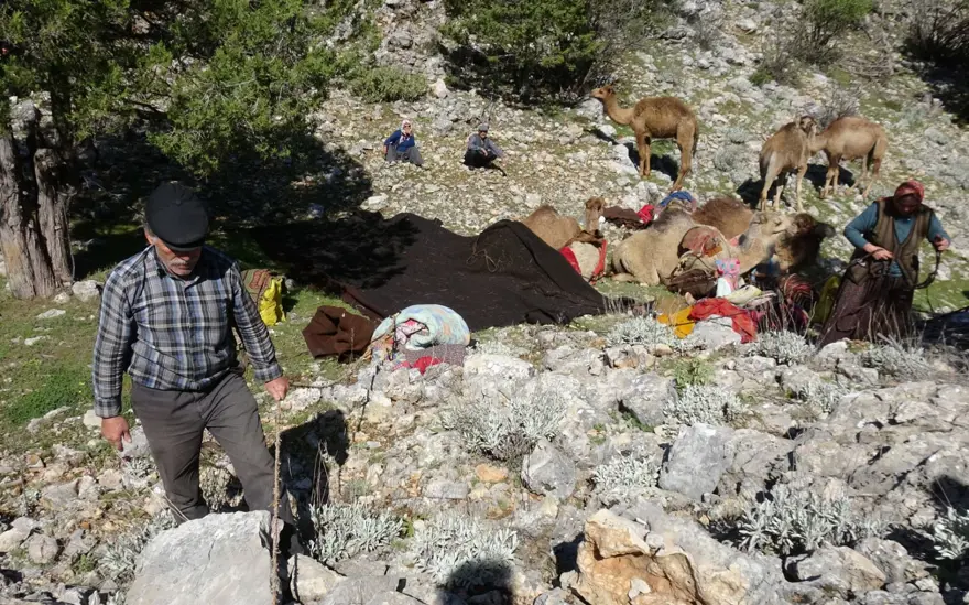 Yörüklerin 20 gün sürecek yaz göçü başladı 11