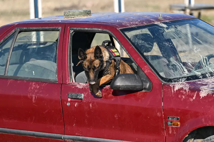 TürkHava Kuvvetleri’nin hassas burunları 6 TürkHava Kuvvetleri’nin hassas burunları 6