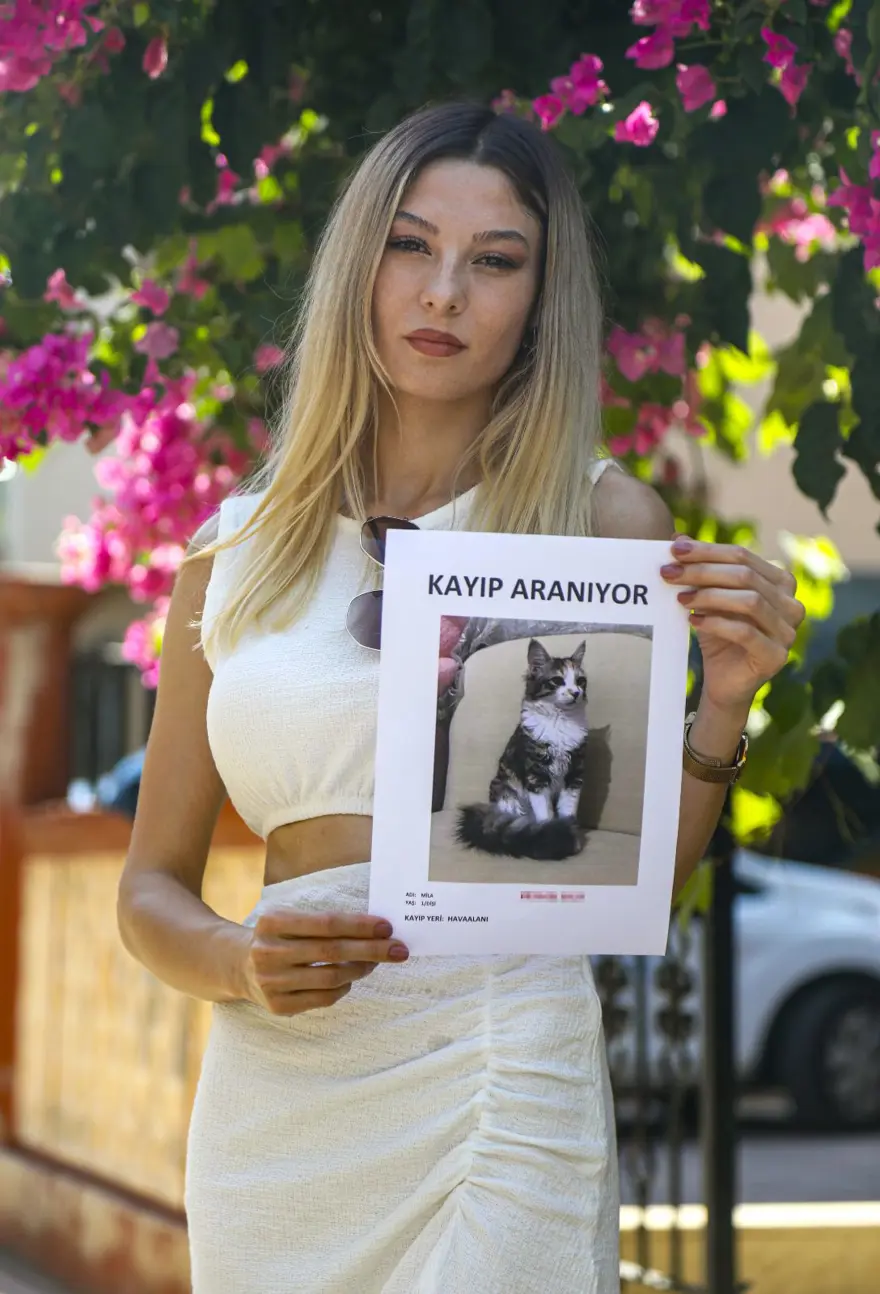 KEDİDEN 2 HAFTADIR HABER YOK 3