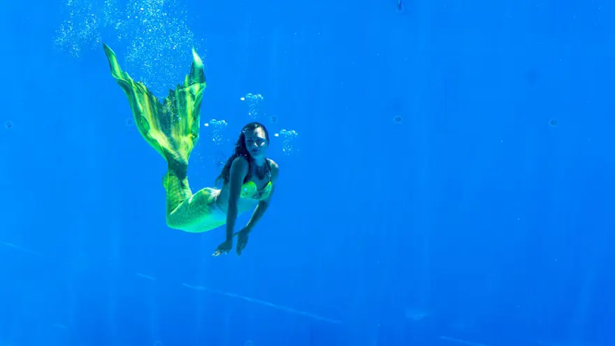 "ÇOK EĞLENCELİ VE ETKİLEYİCİ BİR ŞOVDU" 5