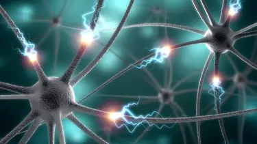 ALS, SMA, MS ve DMD hastaları için araştırma komisyonu kuruldu