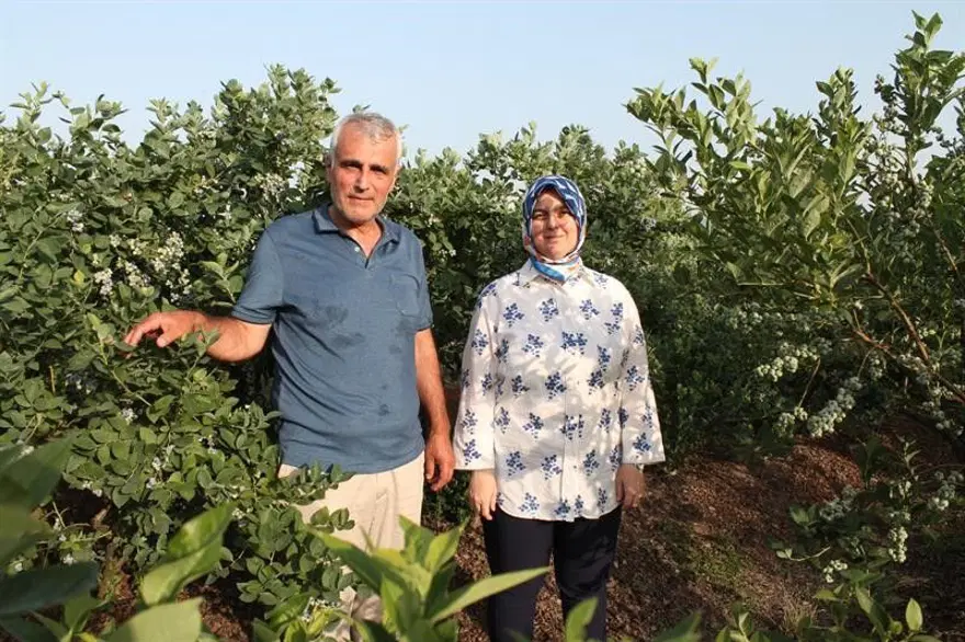 Doğadaki en güçlü antioksidan! Yüksek asitli topraklarda yetişiyor, 19 farklı çeşidi var 1