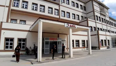 Bolu'da ayı avı kararı