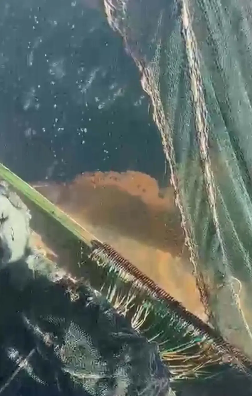 'BU YIL GERÇEKTEN BALIKÇI UMDUĞUNU BULAMADI' 3