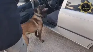 Thor'un uyuşturucu başarısı
