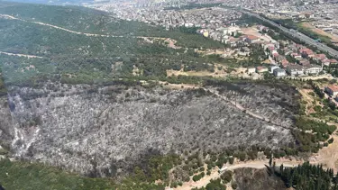 Kocaeli'deki orman yangını kontrol altında