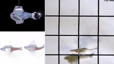 Harvard Üniversitesi’nden yapay kalp adımı: Doğuştan gelen anormallikler tedavi edilebilecek