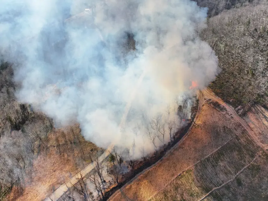 Trabzon’da örtü yangını: Ekipler müdahale ediyor 3