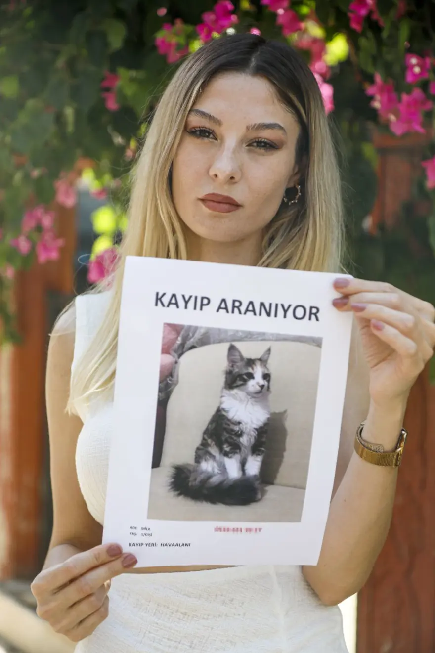 Uçakta kaybolankedisini sokak sokak gezerek arıyor 