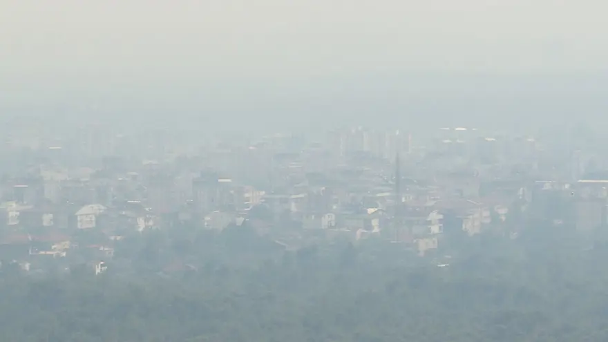 Antalya Manavgat'ta orman yangını 15