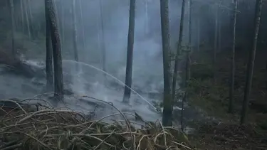 Muğla'da orman yangını