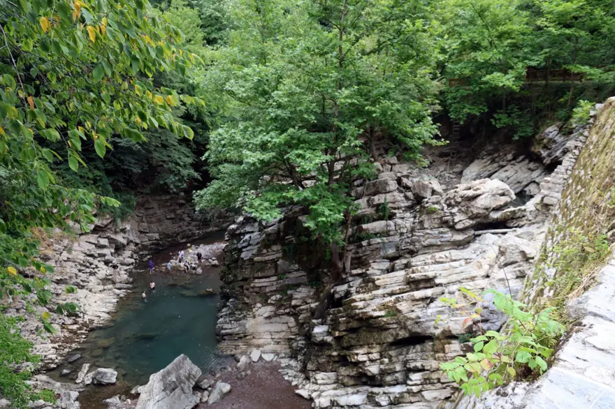 Sakarya’da korkutan manzara: Doğaseverlerin gözdesi kurudu 4