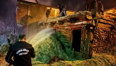 Ahıra yıldırım düştü, 30 tavuk ve ördek yangında öldü