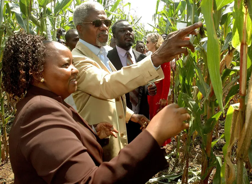 Eski BM Genel Sekreteri Kofi Annan hayatını kaybetti (Kofi Annan kimdir?) 12