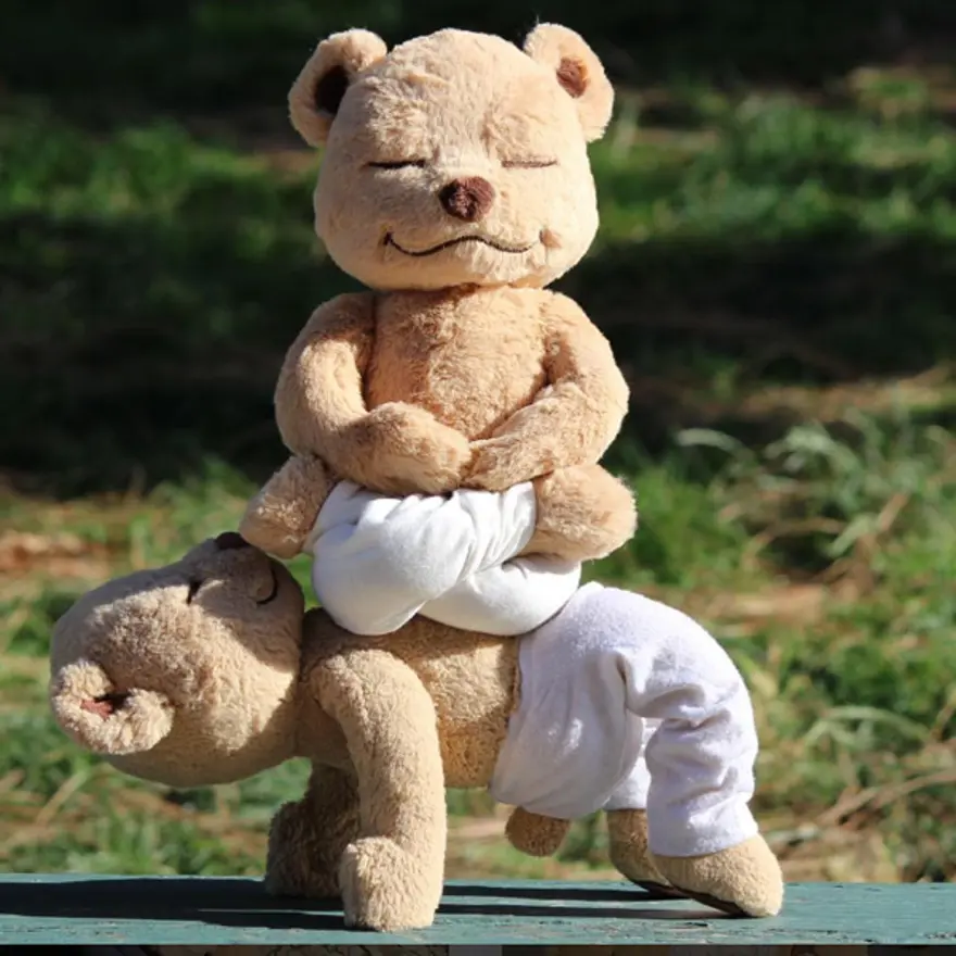 İnternetin yeni fenomeni Yogi Ayı Meddy Teddy 7