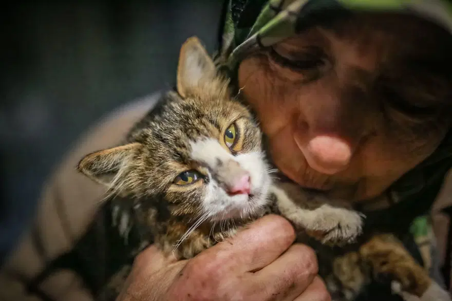 "YİYECEĞİM YOKSA KEDİLERİMLE ORUÇ TUTUYORUM" 5 "YİYECEĞİM YOKSA KEDİLERİMLE ORUÇ TUTUYORUM" 5