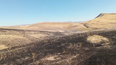 Malatya Arguvan’da anız yangını