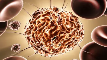 'Türkiye kök hücre nakil merkezi olacak’