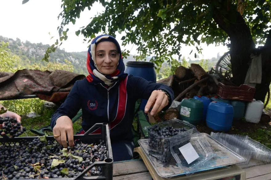 ANTİOKSİDAN DEĞERİ ÇOK YÜKSEK 4