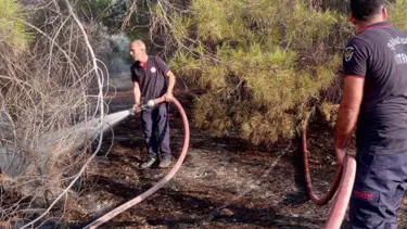 Şanlıurfa'da otluk alanda yangın