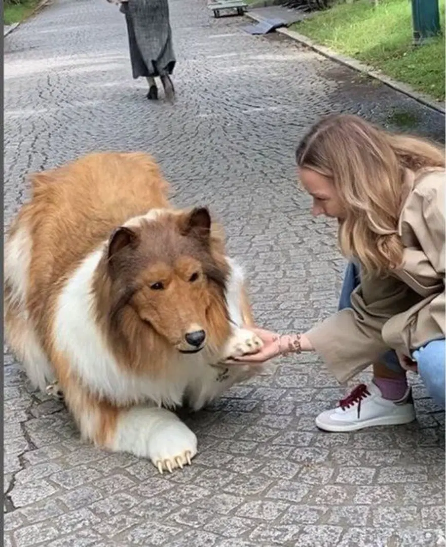 Hayalini gerçekleştirdi! Köpeğe benzemek için 380 bin lira harcadı Hayalini gerçekleştirdi! Köpeğe benzemek için 380 bin lira harcadı