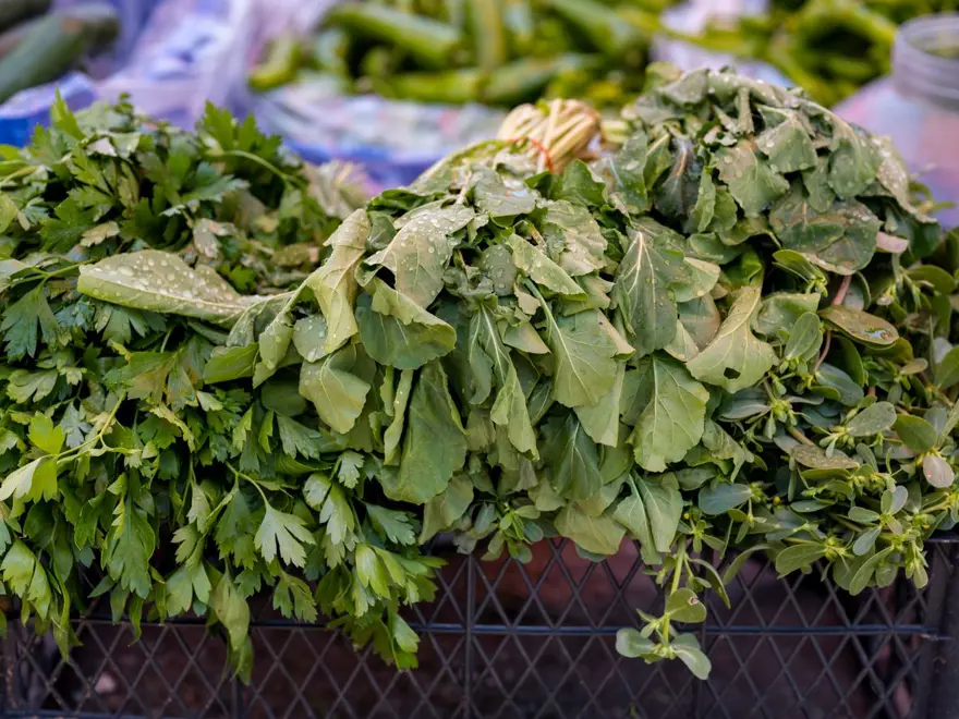 KUZUKULAĞI DOĞAL OLARAK YETİŞİR 4