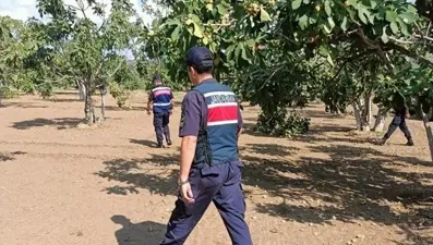 İncir hırsızlarına suçüstü