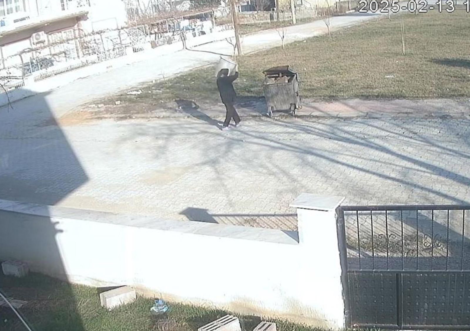 Ayaklarını bağladığı köpeği çöp konteynerine attı